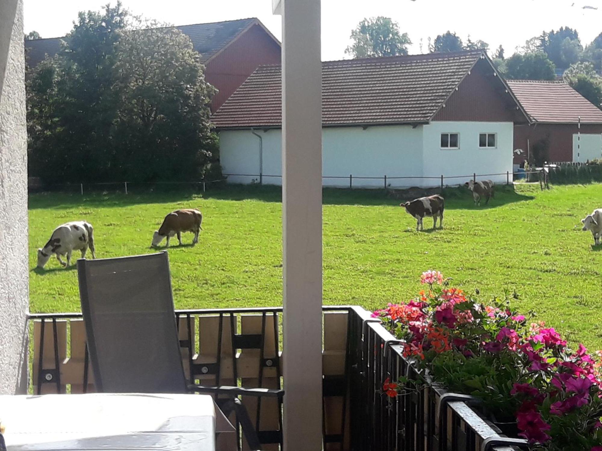Gaestehaus Reisacher - Mehrbettzimmer Peiting Dış mekan fotoğraf